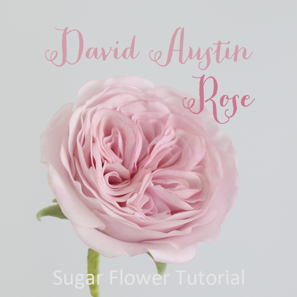 David Austin Rose Tutorial | Sugar flower tutorial by Zoe Clark Cakes